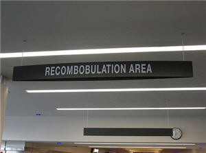 recombobulation