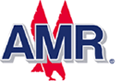 AMR Corporation